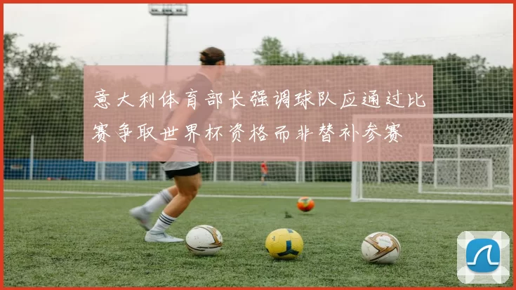 意大利体育部长强调球队应通过比赛争取世界杯资格而非替补参赛