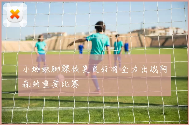 小蜘蛛脚踝恢复良好将全力出战阿森纳重要比赛
